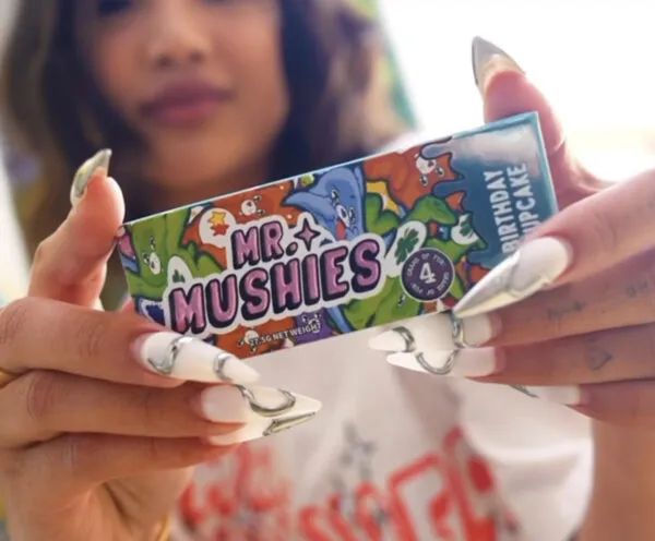 Mr-Mushies-Birthday-Cupcake