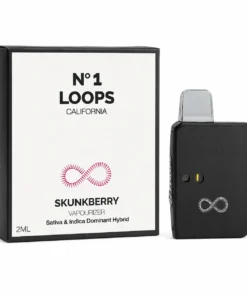 Loops 2 Gram Disposable Vape